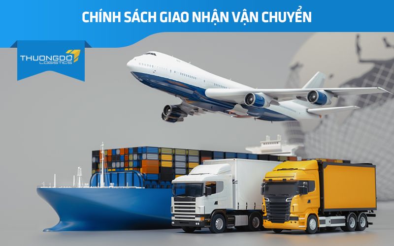 Thương Đô Logistics